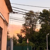Рене уокер