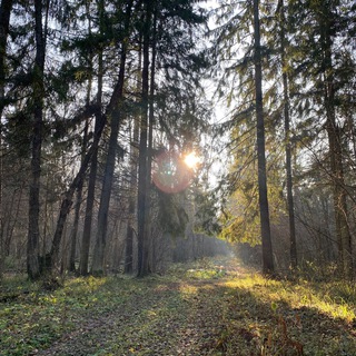 Telegram profile photo for Лучшие отели Подмосковья