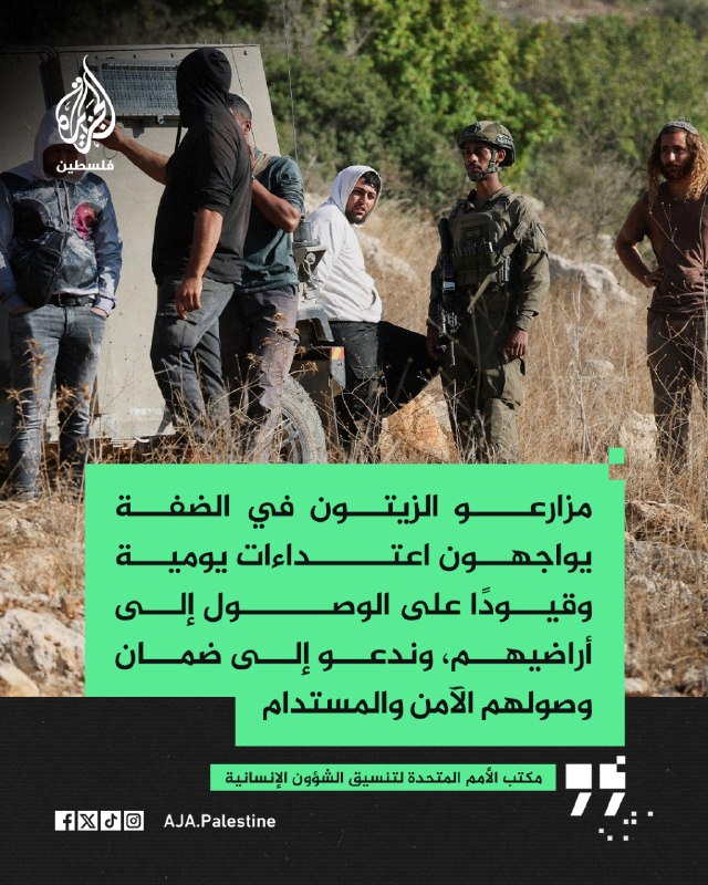 משרד האו"ם לתיאום עניינים הומניטריים: חקלאי זיתים בגדה המערבית מתמודדים עם התקפות יומיומיות מצד מתנחלים והג…