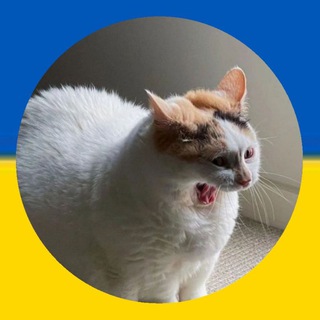 Telegram profile photo for Мови Телеграму