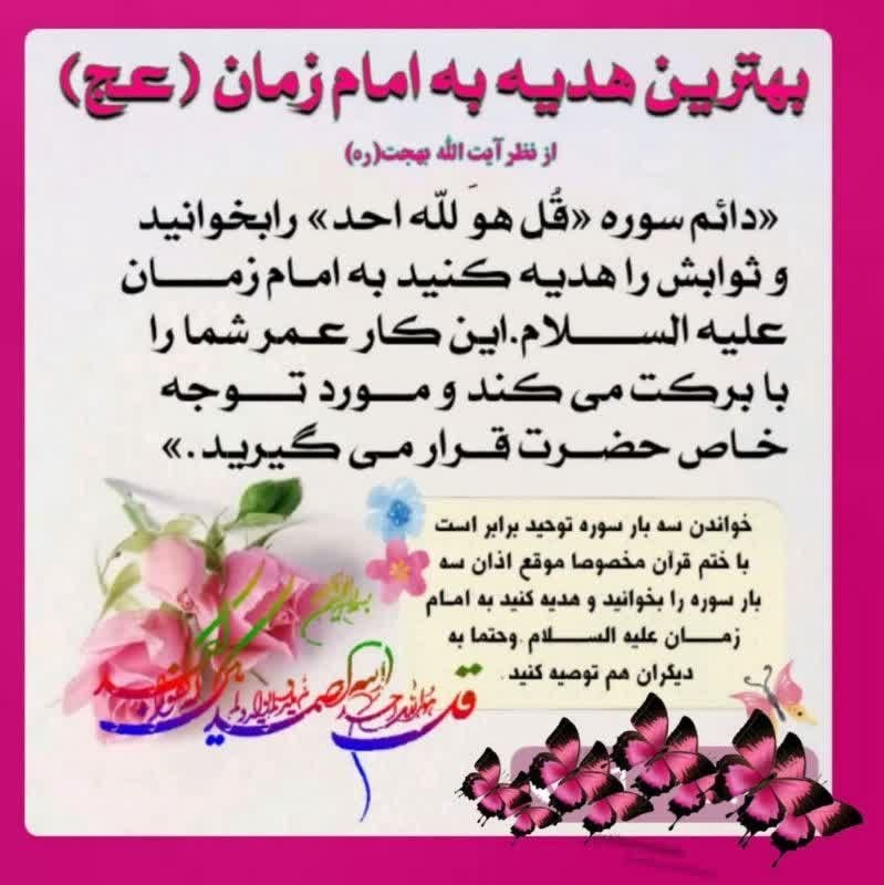 🌹کانال عاشقان اهل بیت علیهم السلام 🌹: رسانه پست