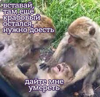 Как отметить Новый год и при этом не набрать лишних килограммов? Тут собрали немного лайфхаков: https://lentach.media/107sM