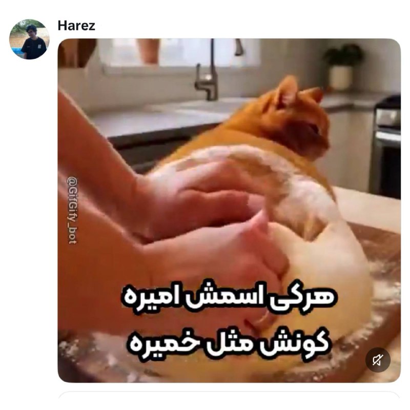 Иллюстрация к посту канала دیاستومی