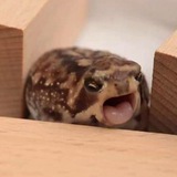 jkrg