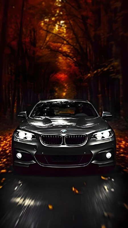 https://t.me/bmw_mpower_club