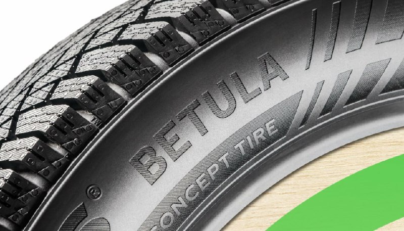Nokian разработала экологичную шину из берёзовой коры