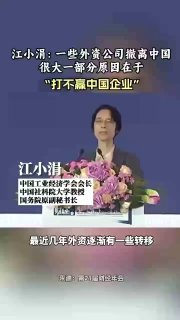 女版陈平：一些外资公司撤离中国很大一部分原因在于“打不赢中国企业”@inside1024
