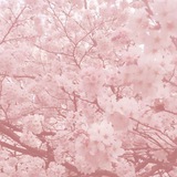 Переходник кф [НАБОР В АДМИНЫ]
