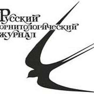 Telegram profile photo for Русский Орнитологический Журнал