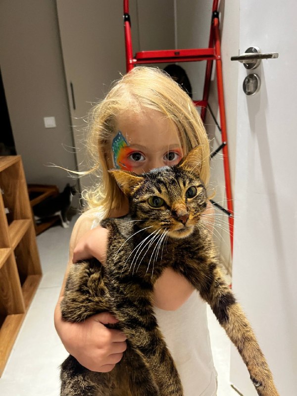 Срочно ищем любящую семью для очаровательного котика.  Харизматичный красавец, кастрирован, спокойны — фото 1