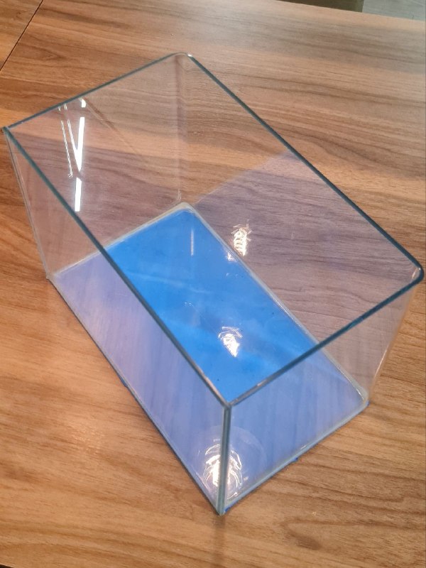 Аквариум — фото 1