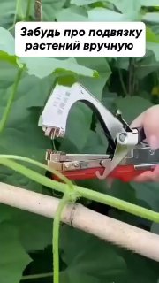 Тапенер садовый для подвязки растений Яндекс Маркет - МЫ В МАХ подписаться - изображение 1 - тапенер, садовый, подвязки