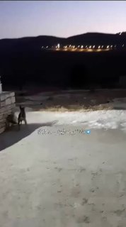מתנחלים תוקפים את ביתו של מנהל בית הספר טורמוס איה, מר מוחמד עריף מוסלמי, ומאיימים עליו ועל משפחתו לאחר שהס…
