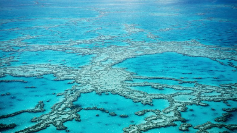 Underwater architectureGreat Barrier Reef from above, Queensland, Australia (© Francesco Riccardo Iacomino/Getty Images)
