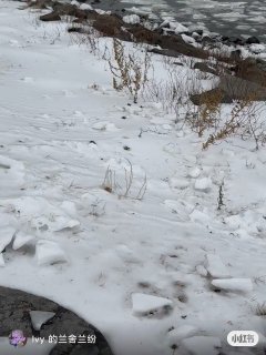 大西洋海面上满是浮冰（NYC）