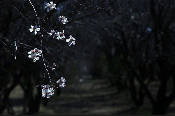 تبریز خبرلری ✔️: از هیچ کس، به جز خودت، انتظار نداشته باش.خشم و عصبانیت نتیجه انتظار داشتن از دیگران هست.شب بخیر🌙✨📱 @Tabriz_khabarlary📱 e