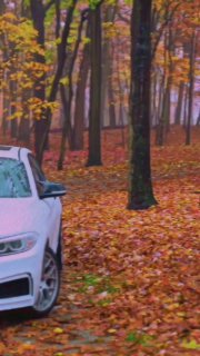 https://t.me/bmw_mpower_club