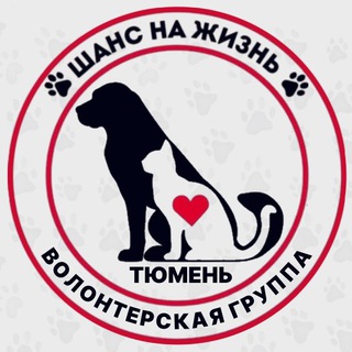 Telegram profile photo for 🐈Шанс на Жизнь г. Тюмень🐈🐾🐾🐾