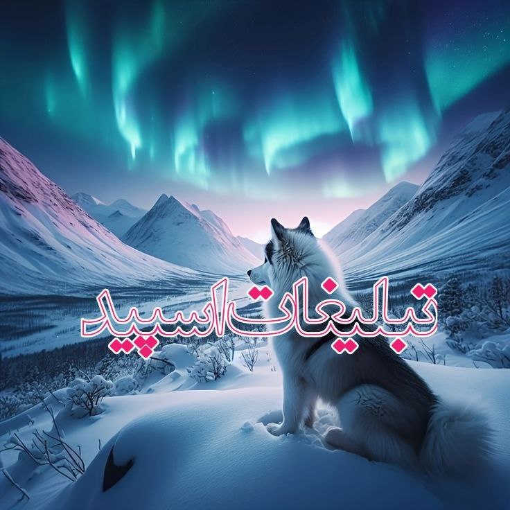 لینکدونی گروه چت شهرکرد: ❶﹚ نام : دورهمی دوستان ❤️❷﹚ نو؏ تبلیغات : #telegram❸﹚ توضیحات :😃دهه های 50 و 60 و 70😃🌸همه بچه های ایران 🌸ٌٌ🩵یه گپ زدیم❥▰