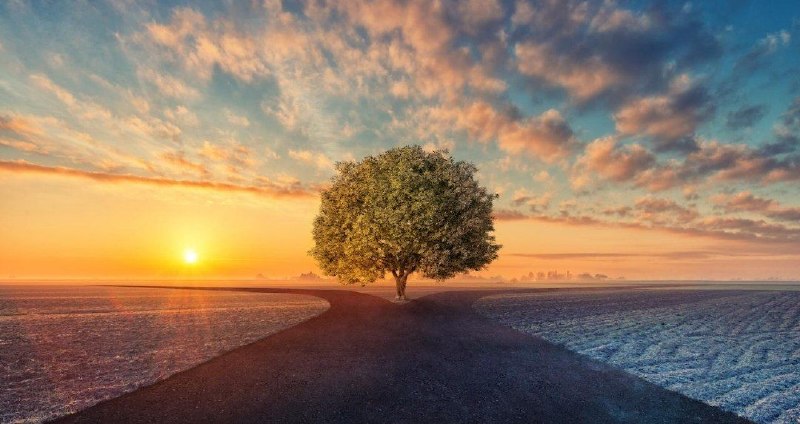 زاد 🍃: إنه بلاء،ولكن قف وتفقد نفسك،ربما ضللت الطريقفتعثرت أمامك لترجع 🍂🛤️