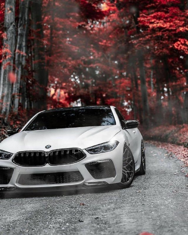 BMW M8