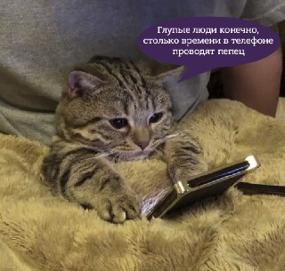 Почитайте примеры того, как перестать зависать в соцсетях и потратить освободившиеся часы на себя: https://lentach.media/sD3li