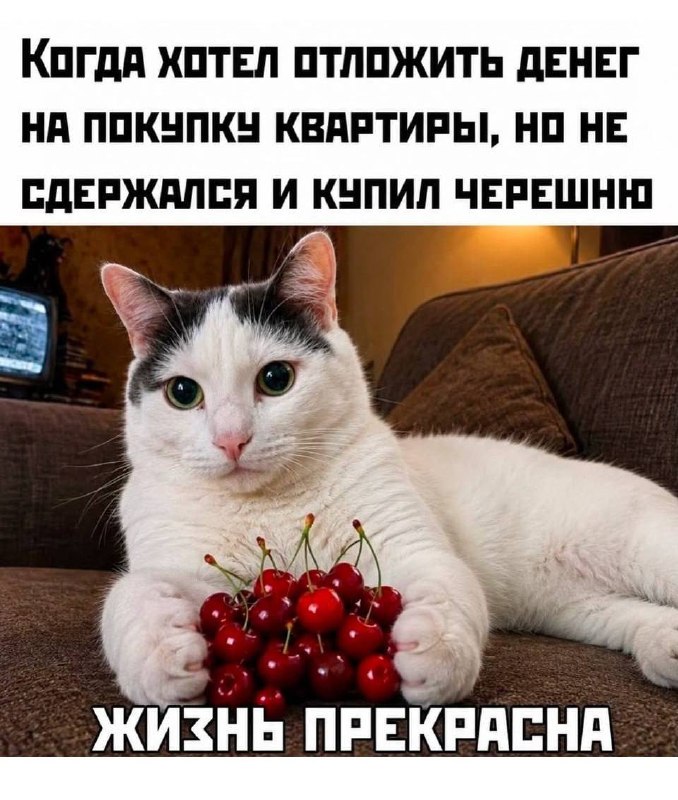 Квартира подождёт Я В ДОМИКЕ Please open Telegram to view this post VIEW IN TELEGRAM - изображение 1 - telegram, view, квартира
