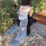 تک باغچه‌ی بلوبریِ له شده