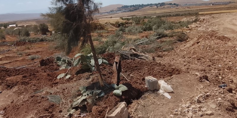 רשת חדשות ירושלים