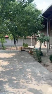 Istirohat, 11 sotok, 10 rooms