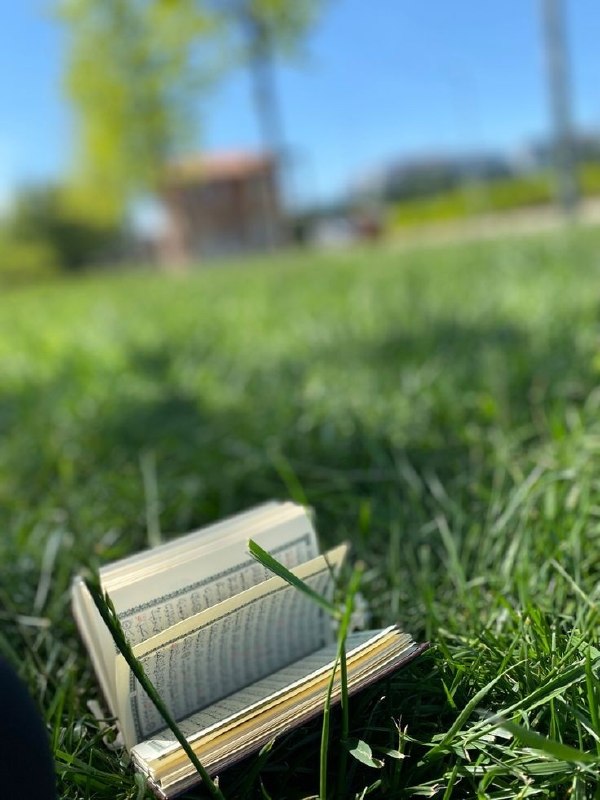 ‹ رَائِحَةُ الجَنّة ..!🕊💙 ›: 💛 ✿ قرآن را برای این دنیا حفظ نکنید، نه برای مسابقات، نه برای کسب جایزه و نه برای تعریف وتمجیدِ مردم،، بلکه آن را برای آ