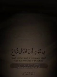 True Manliness & Manhood ⤵️