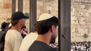 אלי הירשמן