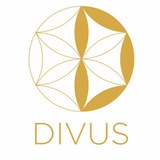 DIVUS клиника осознанной медицины