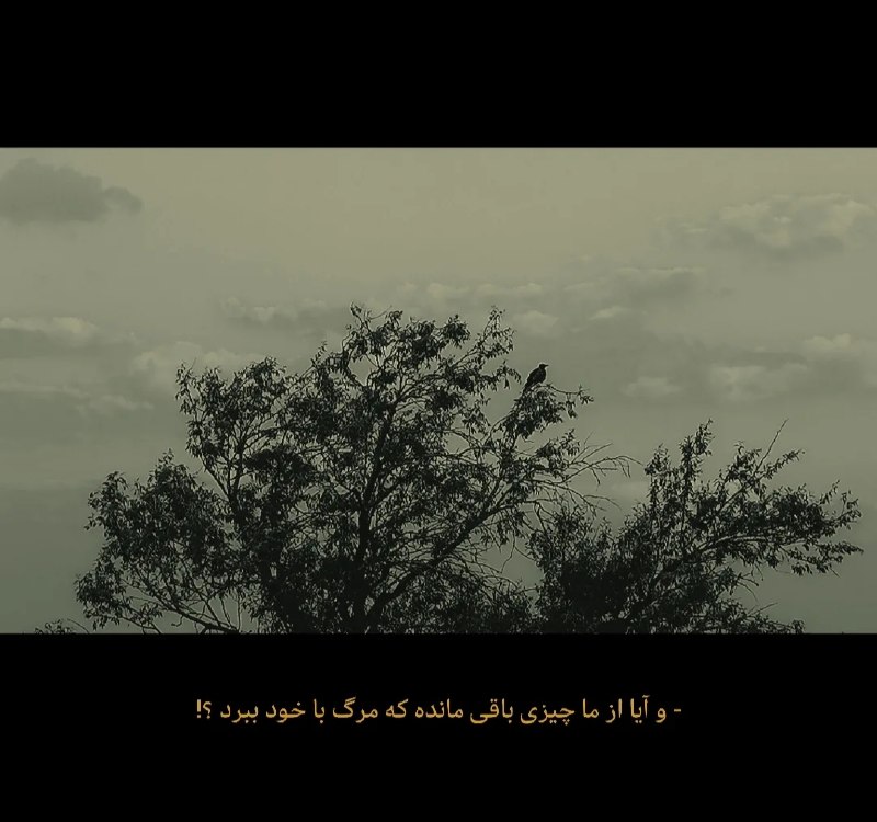 AxProfile | عکس پروفایل: · · ─ @ax_proftel ─ · ·