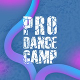 PRO DANCE CAMP