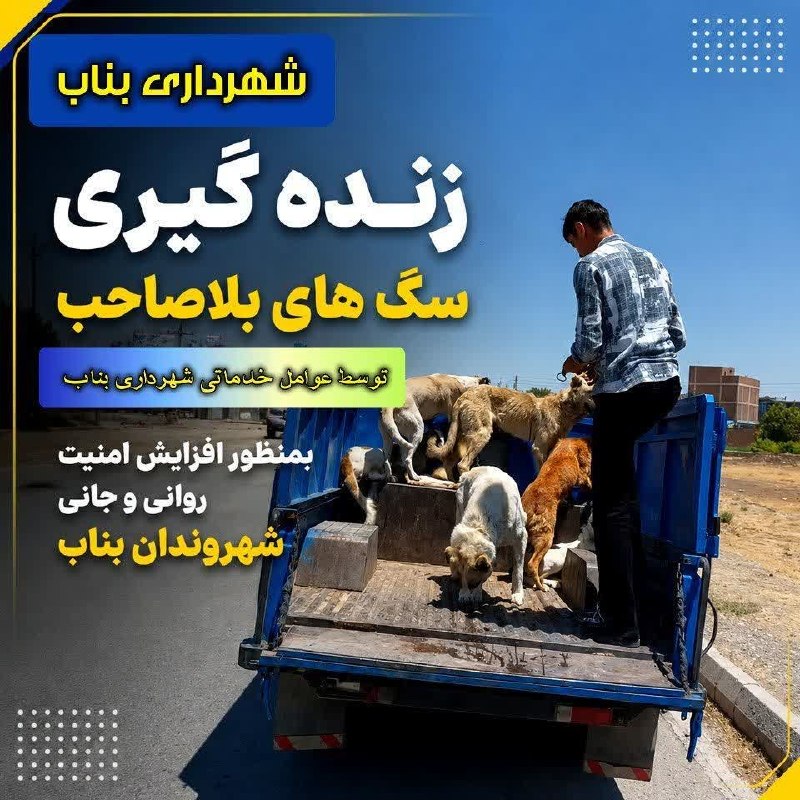 اﻧﻌﻜﺎﺱ ﺑﻨﺎﺏ: رسانه پست