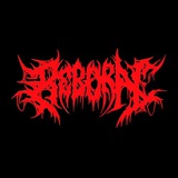 Reborn