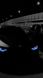 https://t.me/bmw_mpower_club
