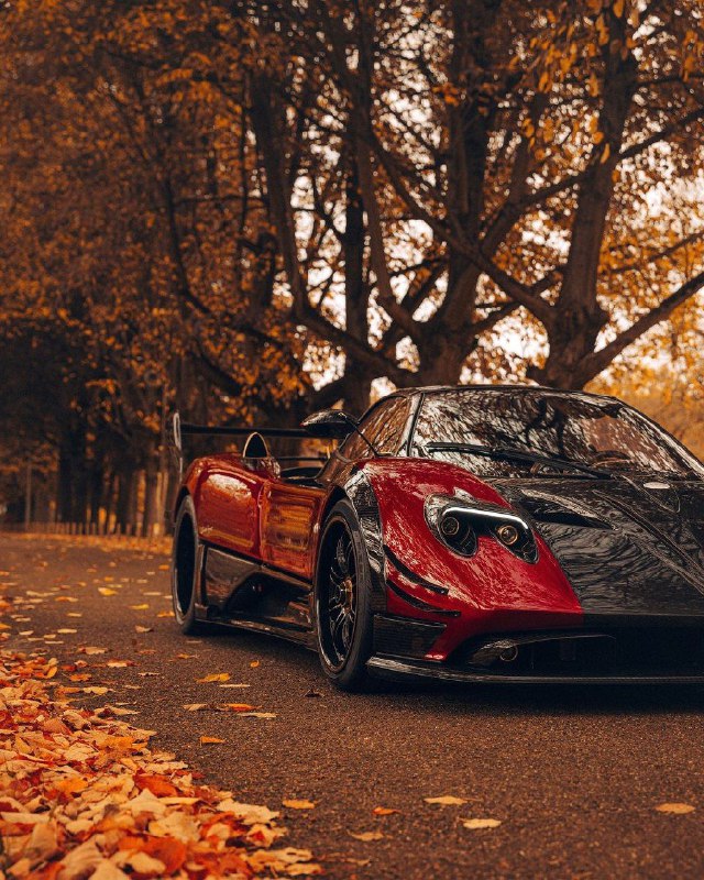 Pagani Zonda MY Roadster 7