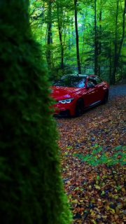 https://t.me/bmw_mpower_club
