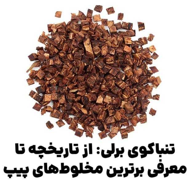 📜مقالات انجمن پیپ📚: 📢 اخبار پیپ و تدخین- ماسترو رحیمی🔹🔹🔹🔹🔹🔹🔹🔹🔹🔹🔹🔹🔹🔹💬تنباکوی برلی: از تاریخچه تا معرفی برترین مخلوطهای پیپدر دنیای پهناور و