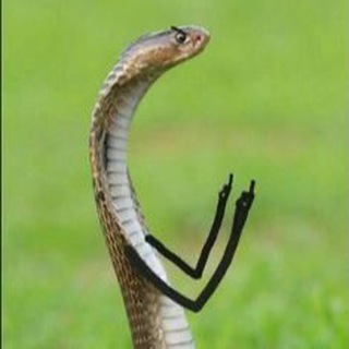 Python with ahillary
