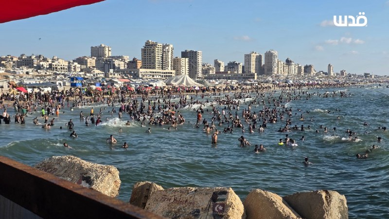 רשת חדשות ירושלים