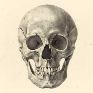 Telegram profile photo for ex arte | archive