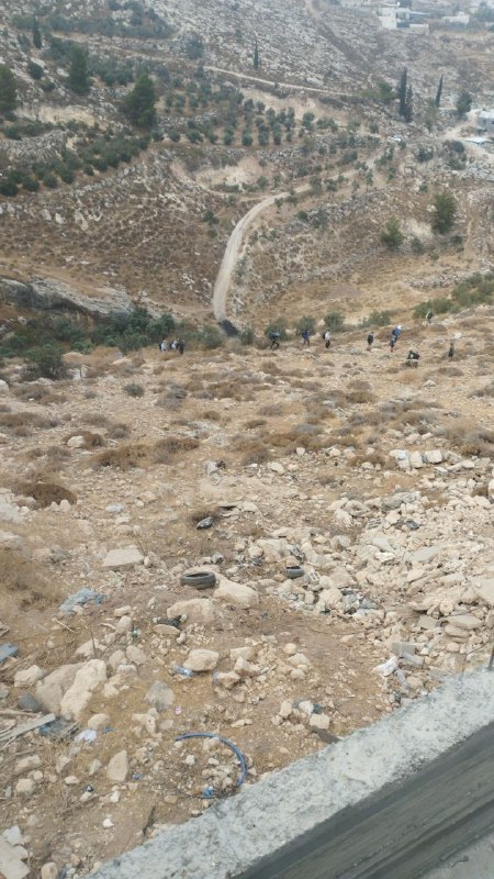 בעקבות מתנחלים שהסתערו על הר תרוסה, ממערב לדורה בחברון.