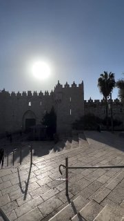 صور من باب العامود توثّق إطلالة على قبة الأقصى الذهبية
