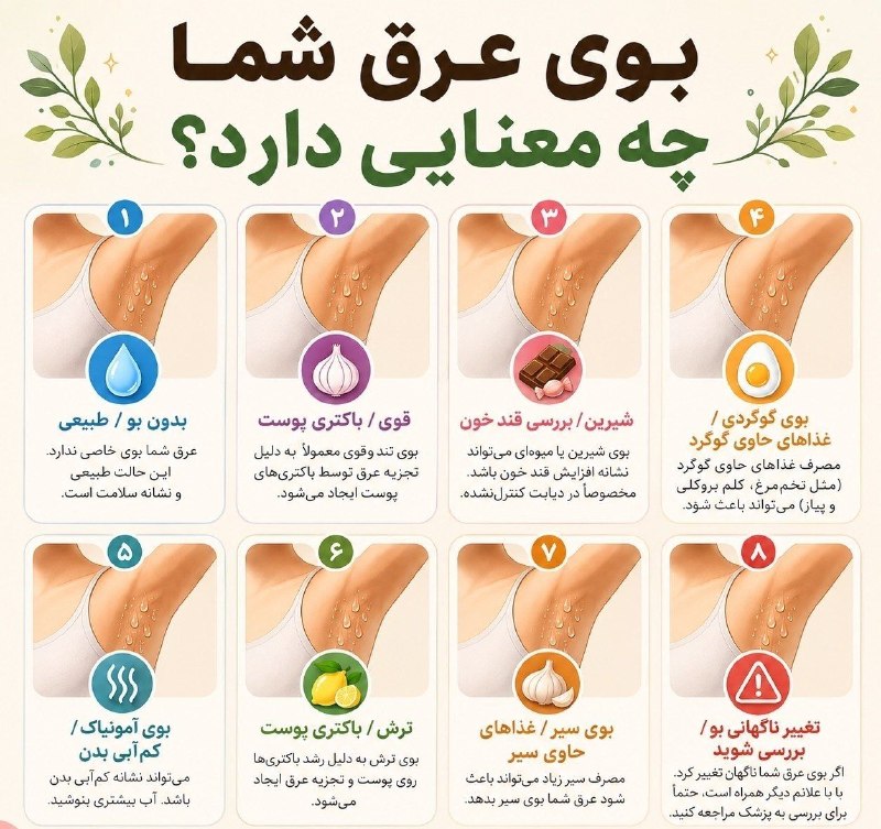 🍀ییلاق🍀ابرده🍀: بوی عرق شما چه معنایی دارد؟ 👃🏻💧بوی عرق همیشه فقط به «عرق کردن» مربوط نیست!نوع بوی بدن میتواند تحت تأثیر باکتریهای پوس