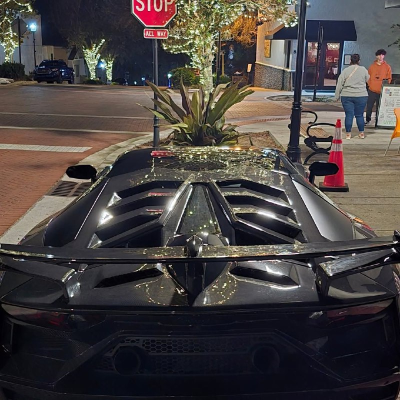 SVJ Full Carbon 3