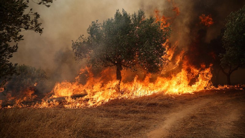 השיא של אירופה-מבזק: חום מעורר שריפות, בצורת בצרפת, יוון ובריטניה